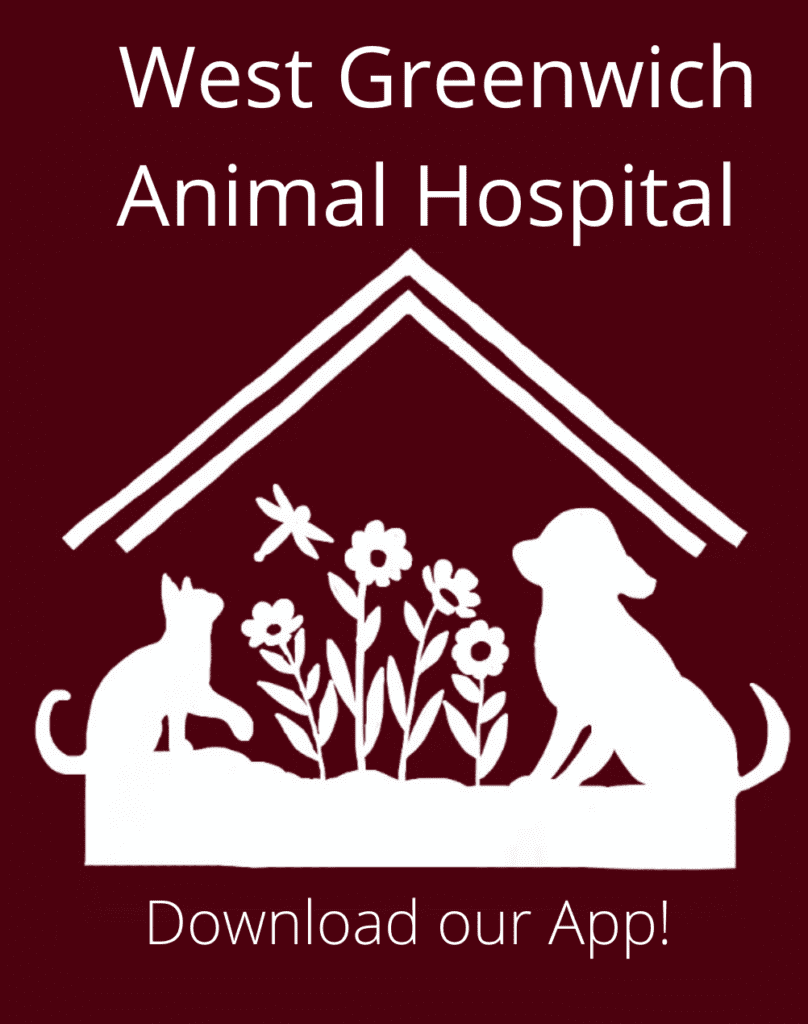 West Greenwich Animal Hospital. Download our App!