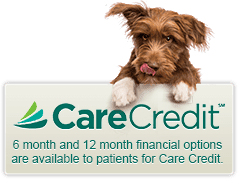CareCredit - 6 month and 12 month financial options are available to patients for Care Credit.
