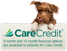 CareCredit - 6 month and 12 month financial options are available to patients for Care Credit.