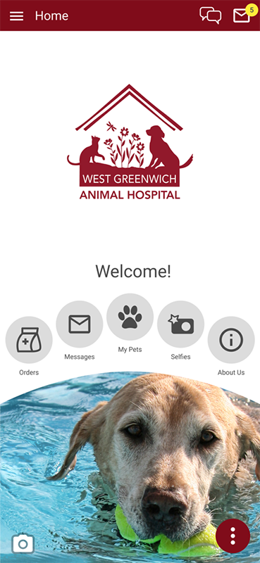 West Greenwich Animal Hospital app home page