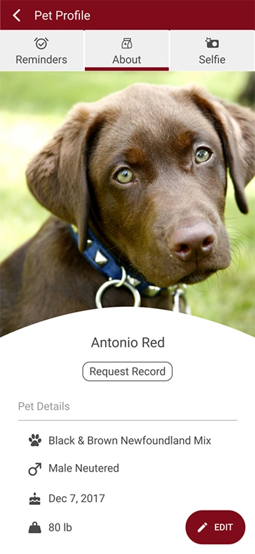 West Greenwich Animal Hospital app pet profile page