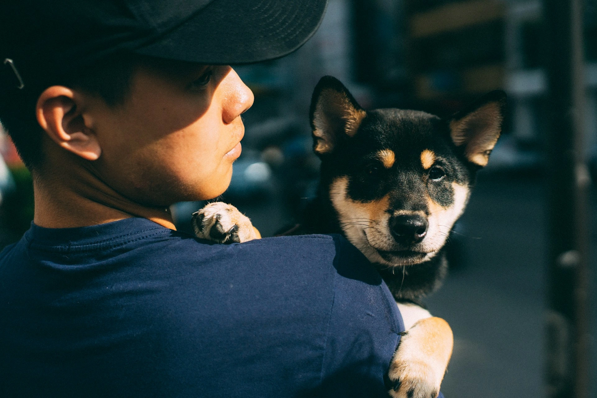 Person holding a small black-and-tan puppy over their shoulder.